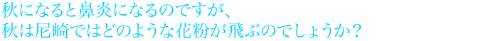 秋になると鼻炎になるのですが、秋は尼崎ではどのような花粉が飛ぶのでしょうか？