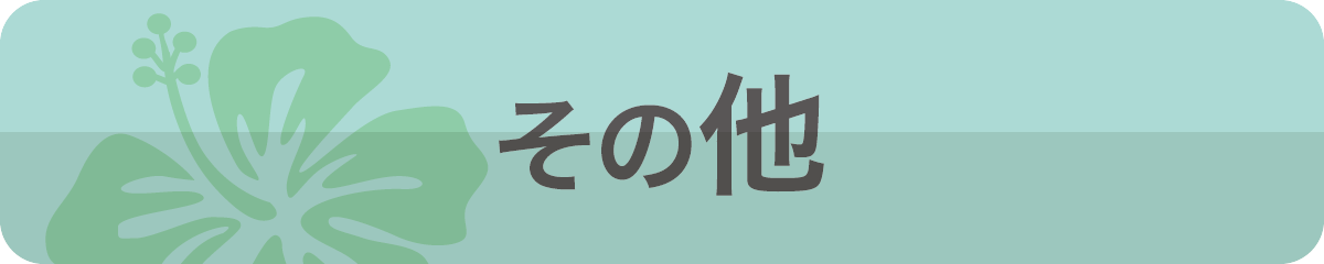 その他
